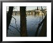 Key Bridge Over The Potomac River Viewed From Roosevelt Island by Raymond Gehman Limited Edition Print
