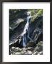 Powerscourt Waterfall, County Wicklow, Leinster, Eire (Republic Of Ireland) by Philip Craven Limited Edition Pricing Art Print