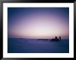 Huskies Carry A Sled Across The Ice At Twilight by Gordon Wiltsie Limited Edition Print