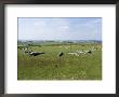 Ancient Stone Circle Dating From Around 2500 Bc, Arbor Low, Derbyshire, England by Ethel Davies Limited Edition Print