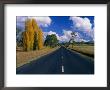 Back Road Between Uralla And Walcha New England National Park, New South Wales, Australia by Barnett Ross Limited Edition Print