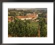 Maconnais Vineyards, Poilly Fuisse, Ozenay, Near Macon, Saone-Et-Loire, Burgundy, France by David Hughes Limited Edition Print