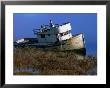 Wreck Of The Point Reyes In Tomales Bay, California by John Elk Iii Limited Edition Print