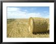 Haystacks, North Dakota, Usa by Ethel Davies Limited Edition Print