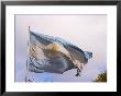 National Flag, Buenos Aires, Argentina by Per Karlsson Limited Edition Print