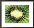 Actinidea Chinensis Kiwi Fruit Cross-Section by Vaughan Fleming Limited Edition Print