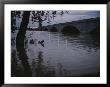 The Potomac Rivers Waters Are High After Heavy Rains by Stephen St. John Limited Edition Pricing Art Print