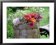 Dahlia, Papaver, Malva, Zinnia And Calendula, Collection Of Picked Flowers In A Woven Basket by Michael Davis Limited Edition Print