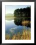 Loch Garten, Strathspey, Scotland by Iain Sarjeant Limited Edition Print