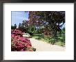 Path On Bank Of Ten Foot Pond, Sheffield Park Garden, East Sussex, England, United Kingdom by Ruth Tomlinson Limited Edition Print