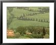 Winding Dirt Road, La Foce, Tuscany, Italy by Walter Bibikow Limited Edition Print