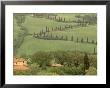 Winding Dirt Road, La Foce, Tuscany, Italy by Walter Bibikow Limited Edition Print
