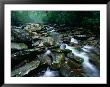 Water Flowing Over Rocks In Alum Creek, Great Smoky Mountains National Park, Tennessee by John Elk Iii Limited Edition Print