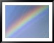 Rainbow (Television) by John Eastcott & Yva Momatiuk Limited Edition Pricing Art Print