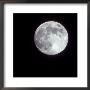 Bright Full Moon In A Black Night Sky by Janis Miglavs Limited Edition Pricing Art Print