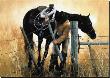 My Cowboy by Lise Auger Limited Edition Print