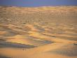 Sea Of Dunes In Sahara Desert In Late Afternoon Sunlight, Sahara Desert South Of Djerba, Tunisia by Stephen Sharnoff Limited Edition Print