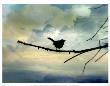 Monday Song by Linda Plaisted Limited Edition Print