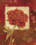 Crimson Shades I by Daphne Brissonnet Limited Edition Print