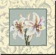 Lillies With Scroll by Catherine Jones Limited Edition Pricing Art Print