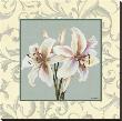 Lillies With Scroll by Catherine Jones Limited Edition Print