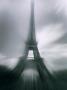 Eiffel Tower, Paris, Ile-De-France, France by Mark Newman Limited Edition Print