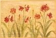 Row Of Red Amaryllis by Cheri Blum Limited Edition Pricing Art Print