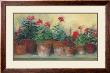 Kathleen's Geraniums by Carol Rowan Limited Edition Print