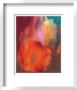 Abstracted Fruit Xv by Sylvia Angeli Limited Edition Print