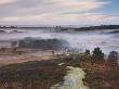 Mist Hangs In Valleys Seen From Vereley Hill, Hampshire, England by Adam Burton Limited Edition Print