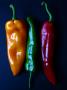 Peppers, Yellow, Green And Red, Side By Side by Ilona Wellmann Limited Edition Print