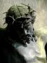 Statue Of The Head Of Christ With The Crown Of Thorns by Ilona Wellmann Limited Edition Print