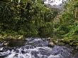 River Flows Over Rocks In The Waipi'o Valley by Todd Gipstein Limited Edition Print