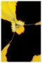 Yellow Pansy by Danny Burk Limited Edition Pricing Art Print