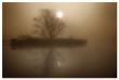 Foggy Island Sepia by Dan Magus Limited Edition Pricing Art Print