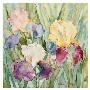 Jennifer's Irises by Sharon Pitts Limited Edition Pricing Art Print