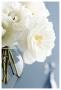 White Roses Bouquet by Christine Zalewski Limited Edition Print