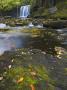 Sgwd Ddwli Waterfall, Brecon Beacons, Powys, Wales, United Kingdom, Europe by Adam Burton Limited Edition Pricing Art Print