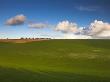 South Downs Near Winchester, Hampshire, England, United Kingdom, Europe by Adam Burton Limited Edition Print