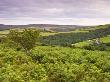 Rolling Farmland And Moorland Viewed From Porlock Hill, Exmoor National Park, Somerset, England, Uk by Adam Burton Limited Edition Print