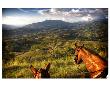 Horses With Mountain View by Nish Nalbandian Limited Edition Pricing Art Print