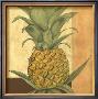 Golden Pineapple I by Jennifer Goldberger Limited Edition Print