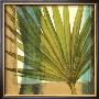 Seaside Palms I by Jennifer Goldberger Limited Edition Print