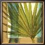 Seaside Palms I by Jennifer Goldberger Limited Edition Pricing Art Print