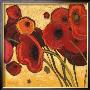 Poppies Wildly I by Shirley Novak Limited Edition Pricing Art Print