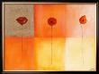 Dreierlei Mohn I by Erika Heinemann Limited Edition Print