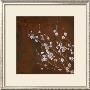 Cherry Blossoms On Cinnabar I by Janet Tava Limited Edition Print