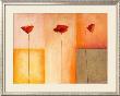 Dreierlei Mohn Ii by Erika Heinemann Limited Edition Pricing Art Print