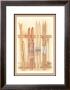 Old Skis I by Laurence David Limited Edition Print