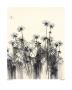 White Flowers by Hans Andkjaer Limited Edition Pricing Art Print